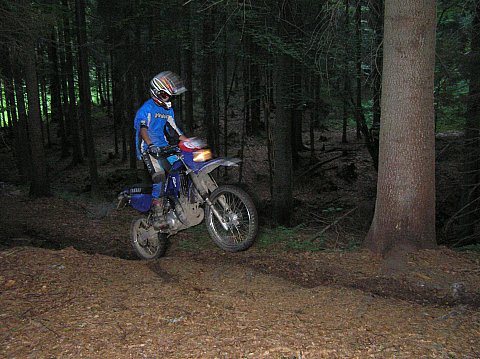 P1010013.jpg