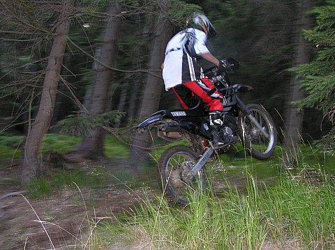 P1010018.jpg